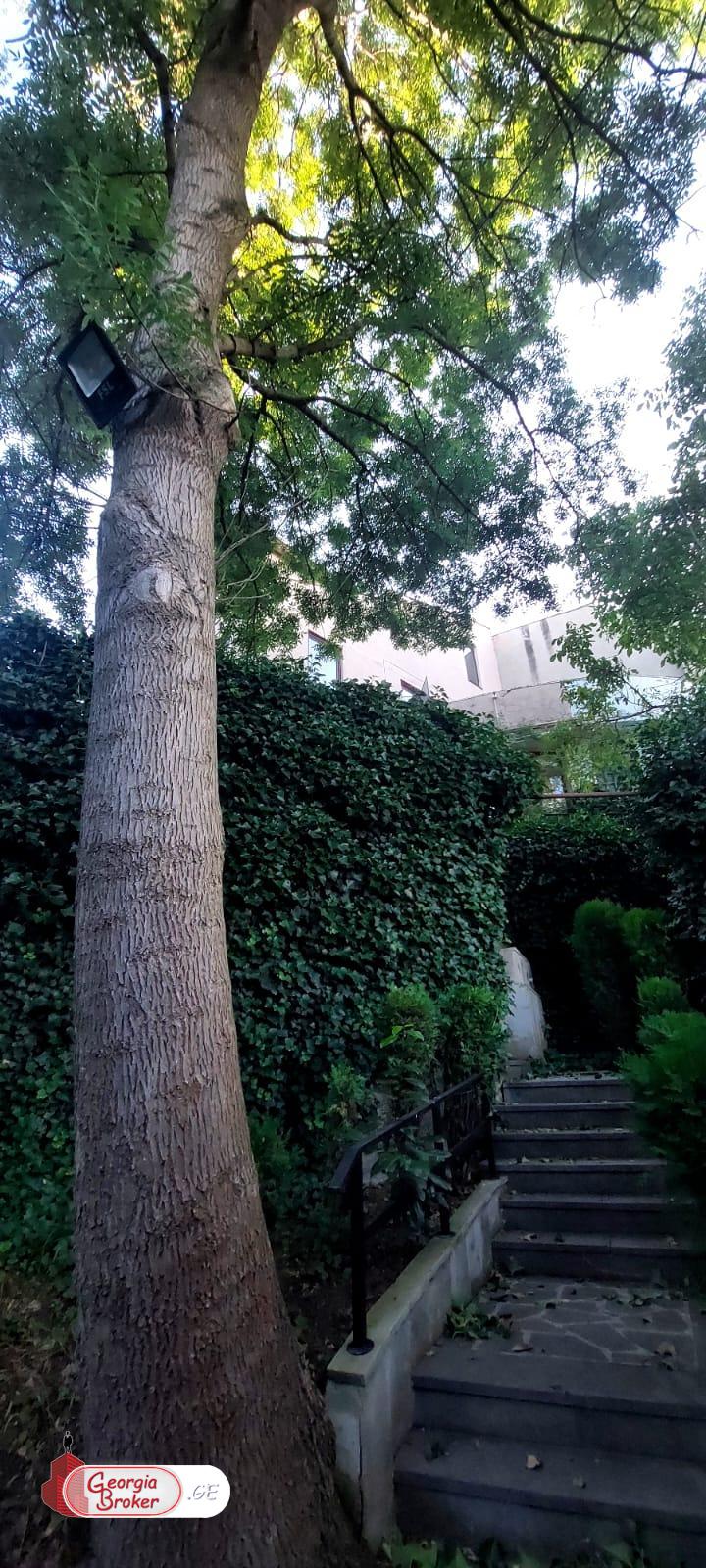 nearly repaired 7-room house for sale